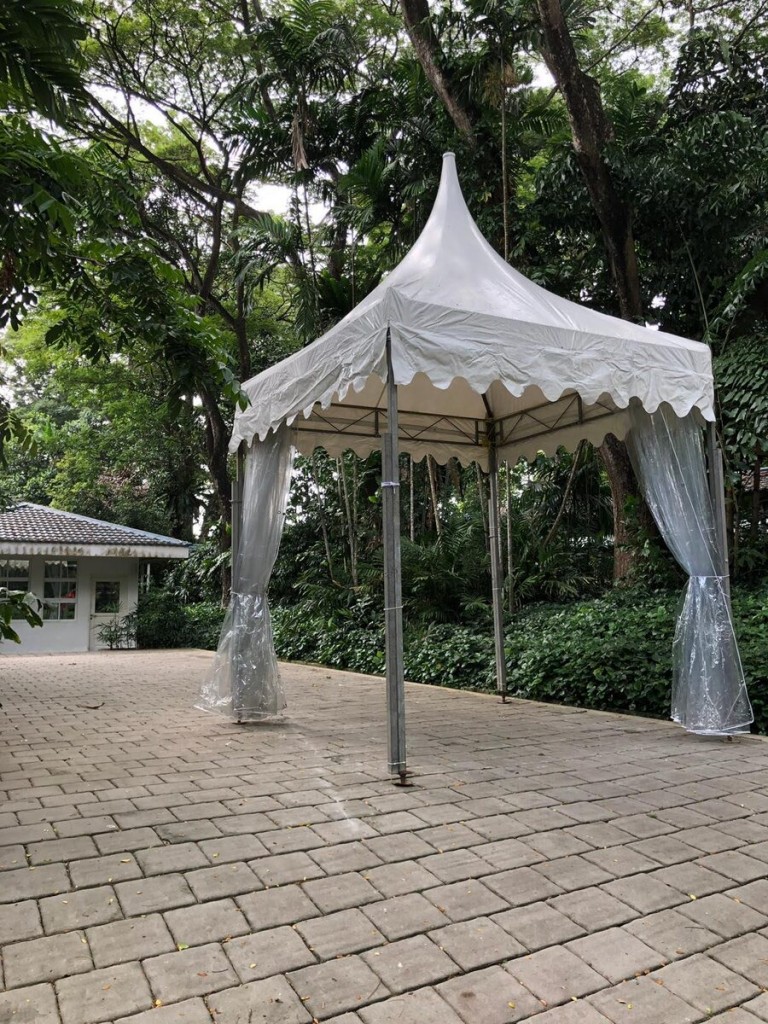 white pagoda tent in leafy garden near white cottage building, empty, daytime